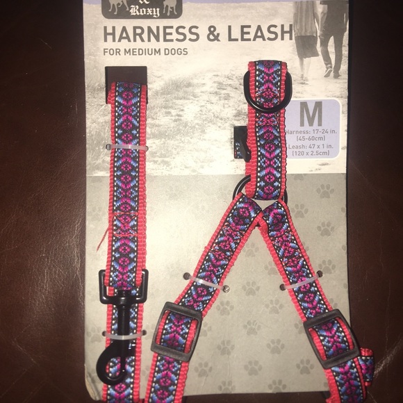 Murphy & Roxy Harness & Leash Set - Picture 2 of 5